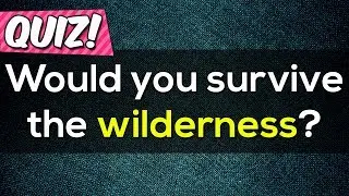 Would you survive the wilderness? Personality Test | Survival Test
