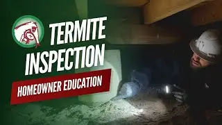 Termite Services: Conducive Conditions, Treatment, and Prevention