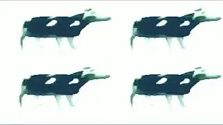 Dancing Polish cow at 4am vibing to Graze the Roof
