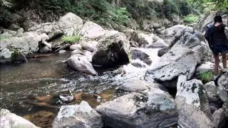 Bottom Creek Gorge