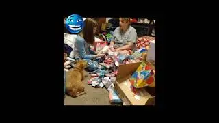 Christmas past #youtubeshorts #christmas #throwback