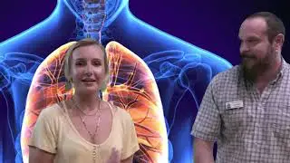 HOSC Take Home Science - Human Anatomy