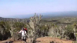 KILIMANJARO un Viaje del Alma