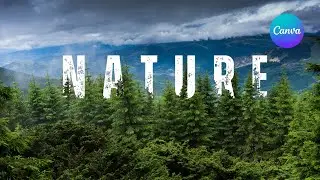 Creativity Nature Text Effect in canva | Jungle text Effect |Typography