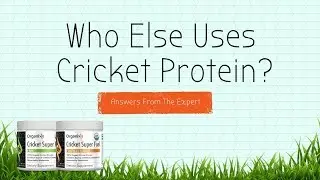 Cricket Superfuel | FAQ | Who else uses cricket protein | Mosaic Media Films | 512-607-5533