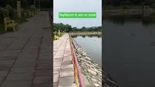 University inside pond #shorts #viral #youtube #water 💫💫