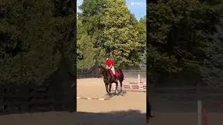 LEAD CHANGEEE #horse #equestrianjourney #horseenthusiast #horsefan #horsegirl #riding