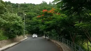 Du Lịch Vũng T&agrave;u Con Đường L&ecirc;n Ngọnn Hải Đăng