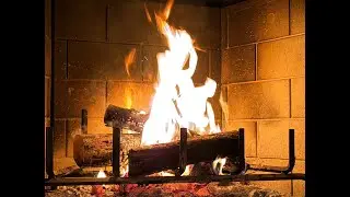 Fireside Bible Study Psalm 119 Beth 20251221