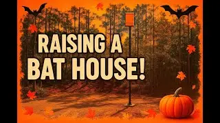 🦇 Installing a 27-Foot Bat House | Full Build from Clearing to Concrete #nature #halloween