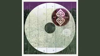 XIV (TEMPERANCE)