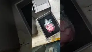 A Custom Box for An Art Toy