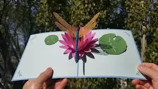 Dragonfly Pop Up Card | Pop Card Express