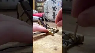 Onager
