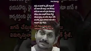 AP POLITICS: Jagan Assures Cadre Arrested in 