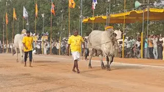 నరసరావుపేట  న్యూ కేటగిరి  9వ k V R నాయుడు బుల్స్  మాచవరం