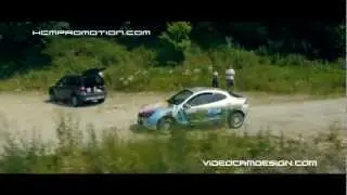 Street Art Bardejov 2012 - Ford Puma