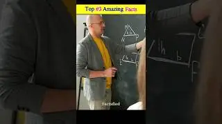 Top #3 Amazing Facts @FactsMine  #factsfied #factvideo #shorts