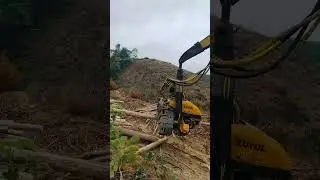 #forestryequipment #excavator #harvesterhead #XUVOL