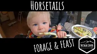 Horsetails - Forage & Feast