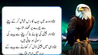 Life quotes motivation ｜ Quotes about Motivation ｜ Best Urdu Aqwal e Zareen ｜ Golden Words