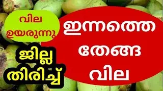 Green Coconut Price തേങ്ങ വില #pepper #arecanut #coconut #rubber #gold #malayalam #kerala 