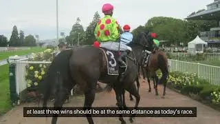Elite Horse Racing System