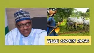 FG COMMENCES RUGA IMPLEMENTATION, DESPITE REJECTION BY NIGERIANS - HURIWA