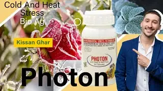 Photon Bio Ag Anti Cold And Heat Stress for plants | Best Environmental Stress | Kissan Ghar