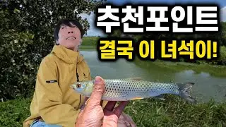 구독자님의 비밀포인트에 찾아왔더니 이 녀석이 나왔다.