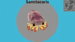Prehistoric nature - Sanctacaris species profile