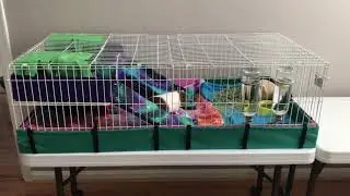 Midwest Cage Expansion part 2