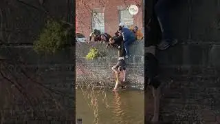 Good Samaritans save stranger's dog from drowning | USA TODAY #Shorts