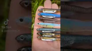 Fish Arrow Flash-J 3