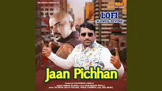 Jaan Pichhan (LOFI)