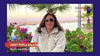 MERY PERLA SALAZAR APOYA LA PRIMERA OCEAN HACKATHON EN CHILE