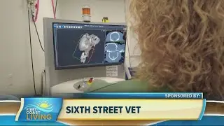 New CT machine at Sixth Street Veterinary Hospital