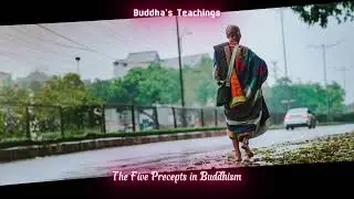 The Five Precepts in Buddhism - Buddha's Teachings - #buddha#meditation#buddhism