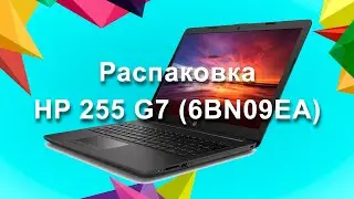 Распаковка HP 255 G7 (6BN09EA)