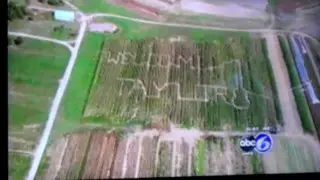 Taylor Swift corn maze