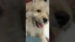я хз что писать