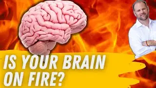 Floxed~ Brain on fire and brain inflamed?  FLoxed Full Recovery requires normalizing your brain.