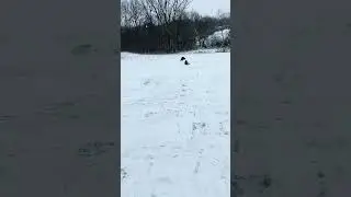 One day in winter ❄️ #usa #ohio #ohiostate #pakistan #india #shortvideo #shorts