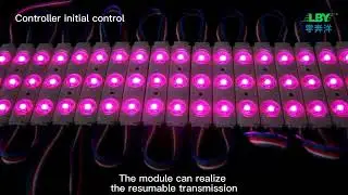 ✨ LBY Classic RGBW Digital LED Module: Signs That Shine Brighter! ✨