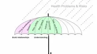 Health Literacy Umbrella