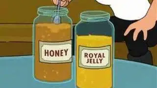Odyssey of the Honeycomb