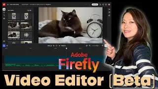 How to Make AI Kitten Videos in Adobe Firefly Video Editor (Beta)