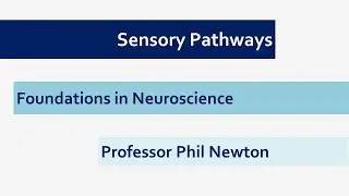 Sensory Pathways