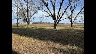 NEW LISTING: 00 Old Hwy 6 Elloree SC 29047