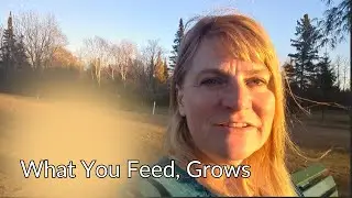Feed Your Soul Like the Soil — A Real Talk from My